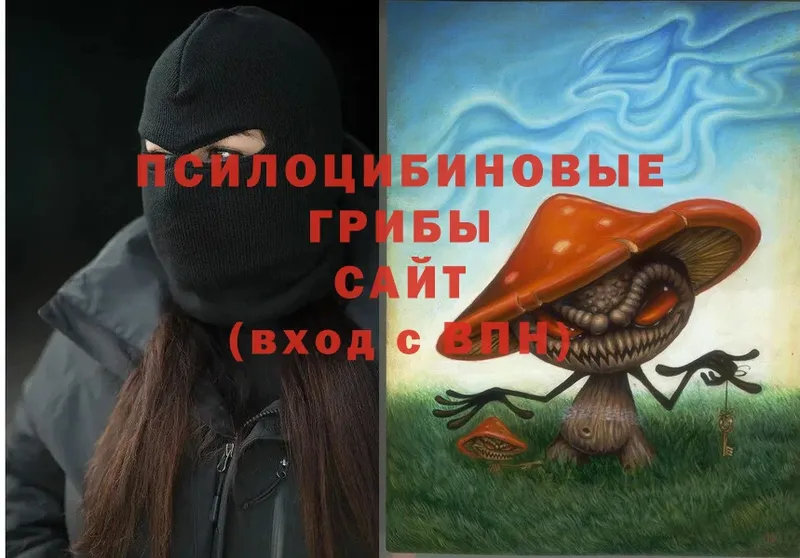 Галлюциногенные грибы Psilocybine cubensis  где продают   Большой Камень 